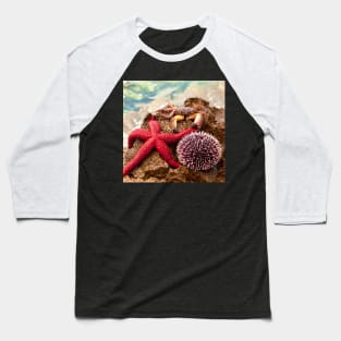 Crab Sea ​​Urchin StarFish Baseball T-Shirt